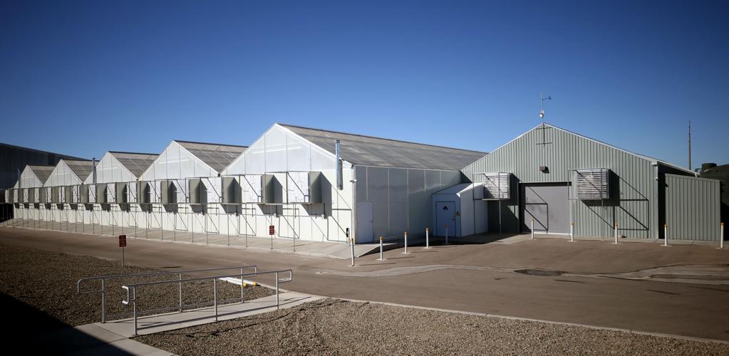 Earth's Healing Greenhouse outside