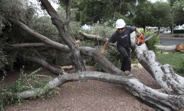 Second big storm delivers more power line punches    