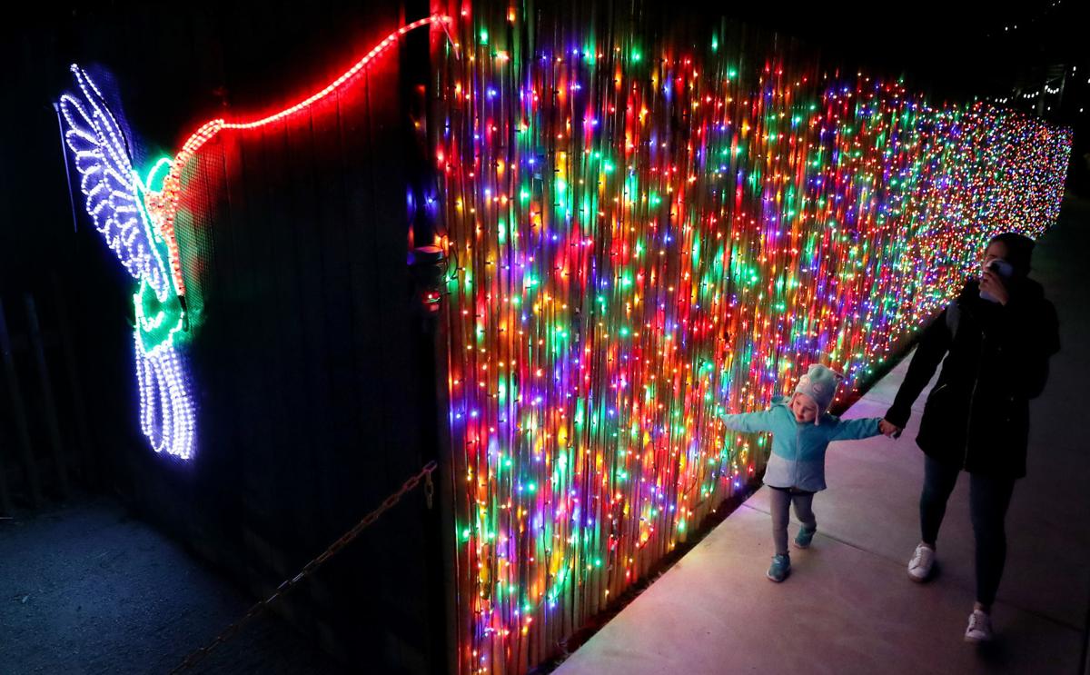 2020 Reid Park Zoo Lights