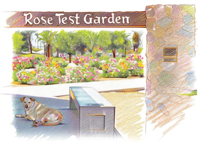 Reid Park rose garden