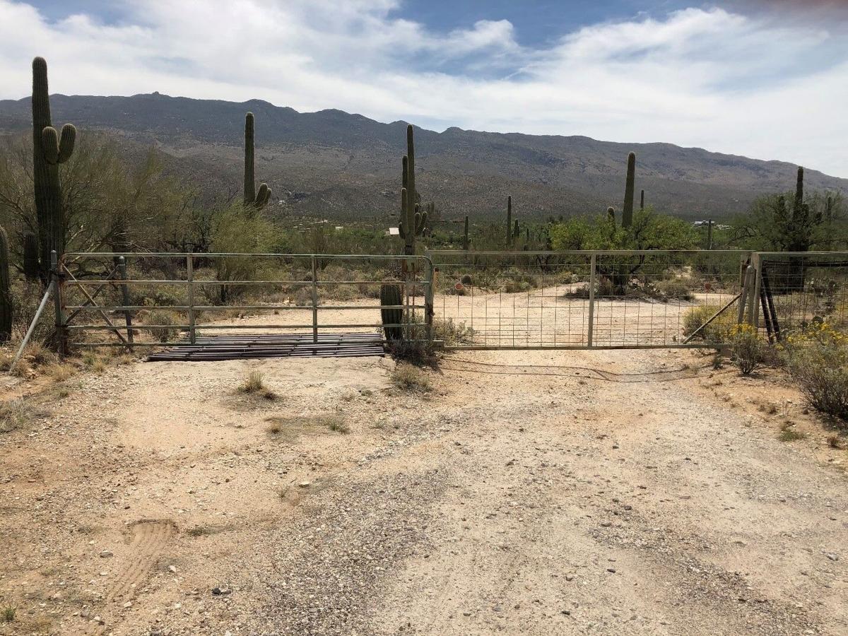 McCartney's gate in Tucson
