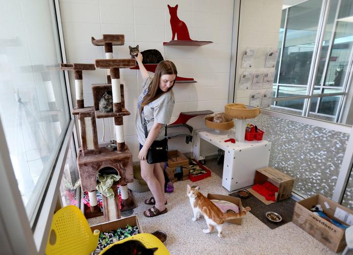 Pima Animal Care Center expansion