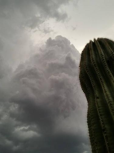 Monsoon photo contest