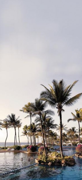 Posh Wailea