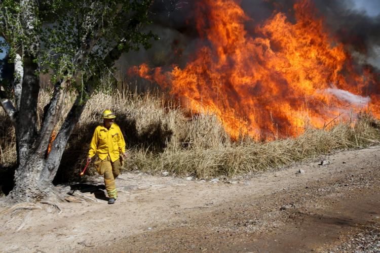 Sweetwater Wetlands Control Burn