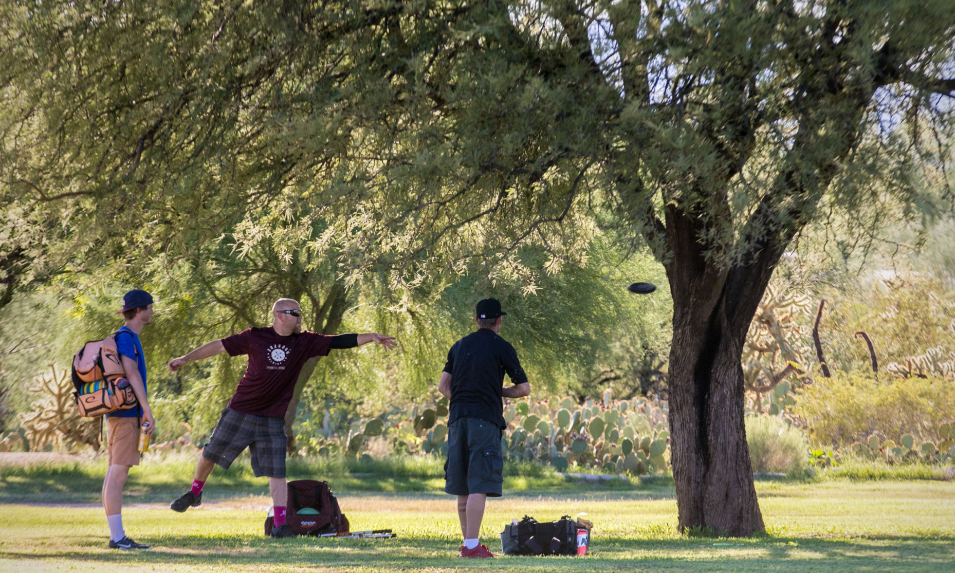 Disc golf in Tucson continues to grow