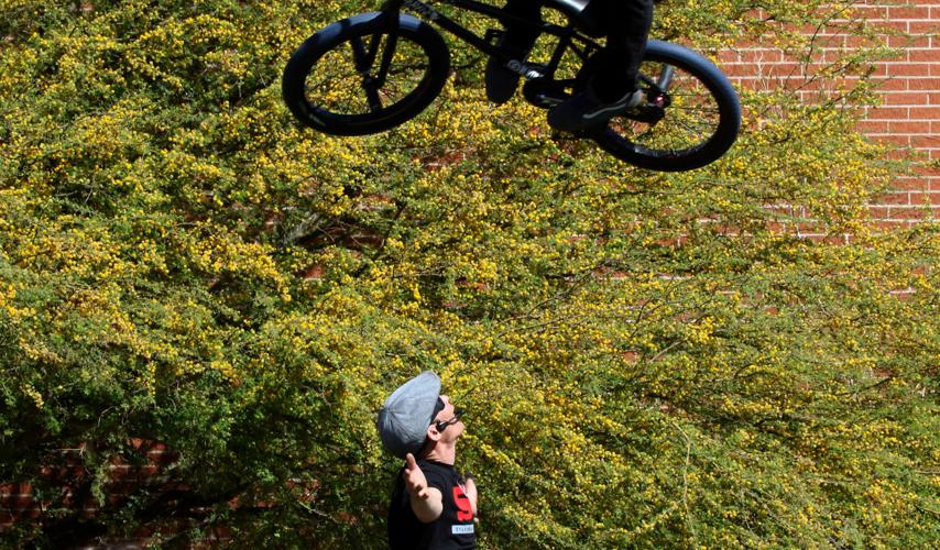 2017 Tucson Festival of Books