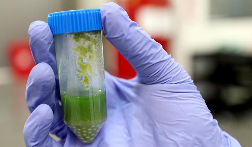 Titan Laboratories Tucson, 2022