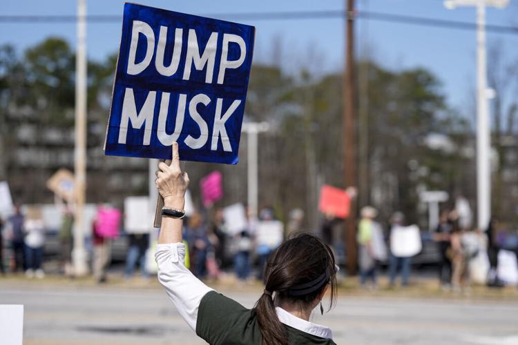 Musk Tesla Protest