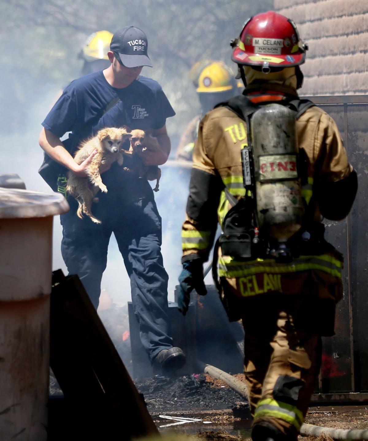 Photos Star S Kelly Presnell Is Arizona Photographer Of The Year