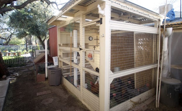 Drachman House