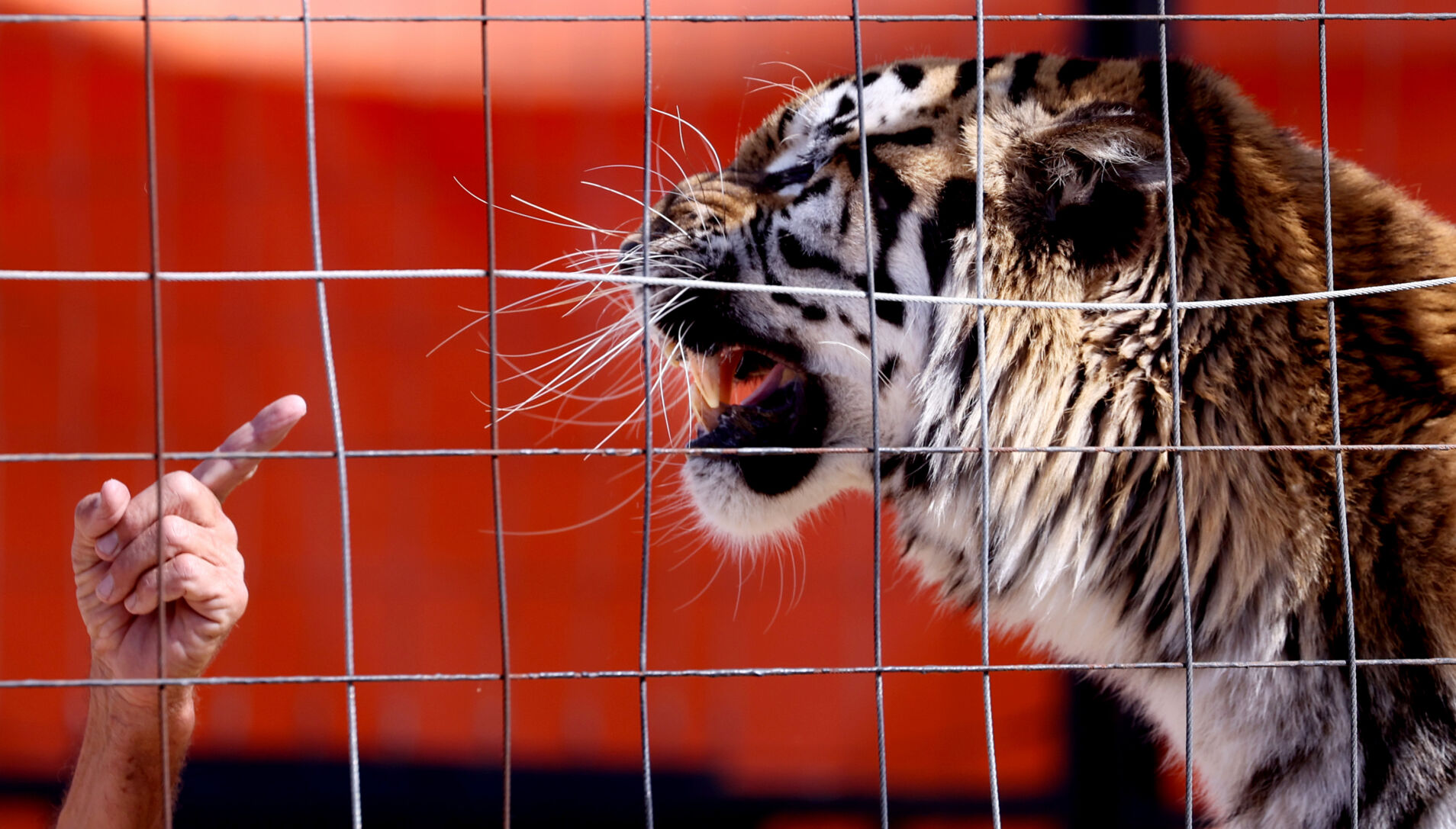 Fair's final weekend