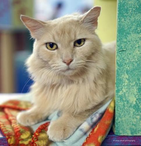 Adopt a friend: Mohatu