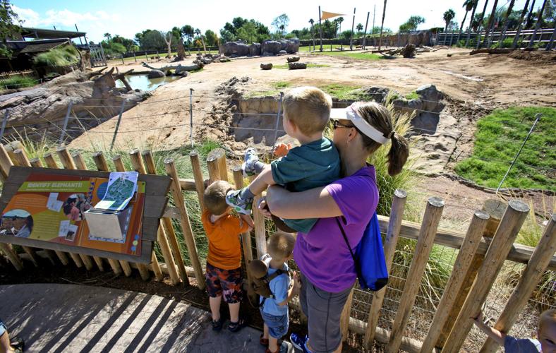 New Reid Park baby elephant