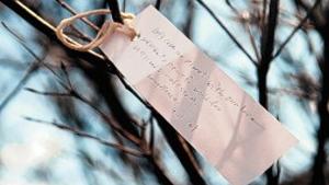 Yoko Ono wishes upon a tree in D.C.