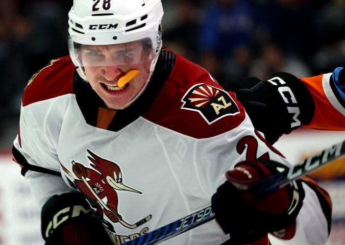 Roadrunners vs San Diego Gulls, AHL hockey