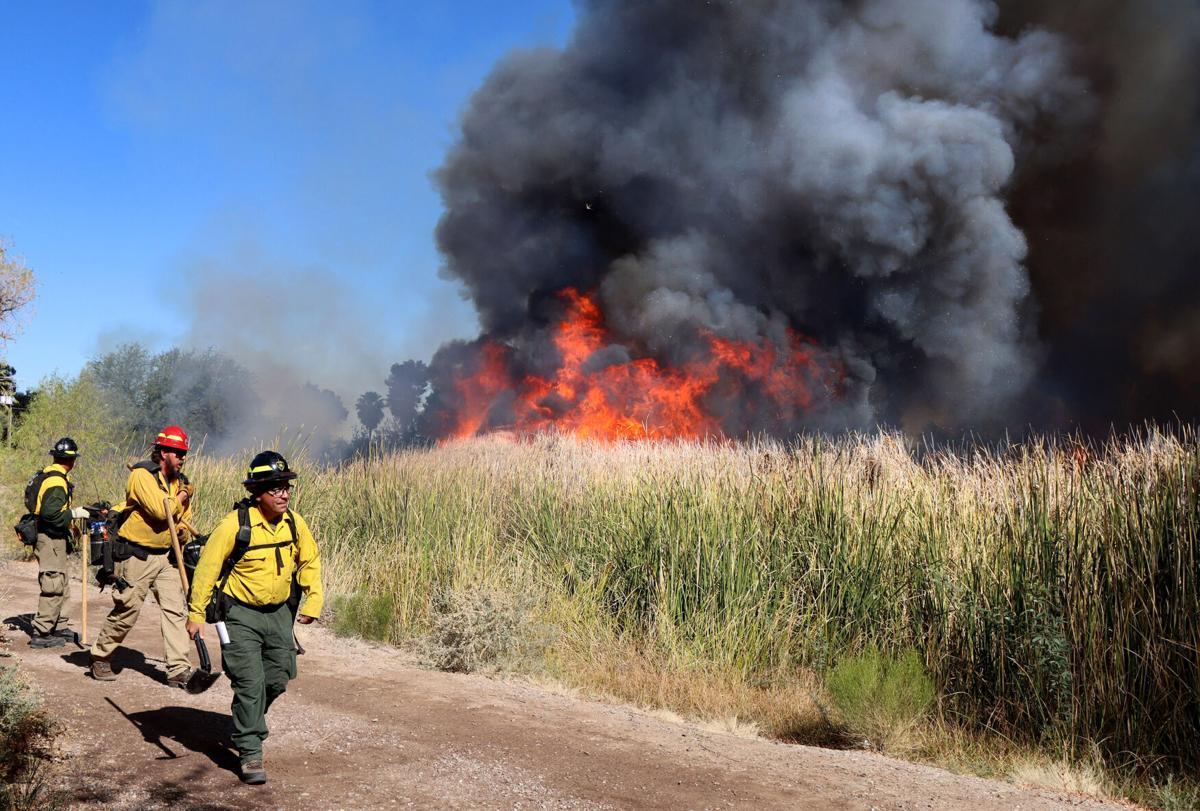 Sweetwater Wetlands Controlled Burn