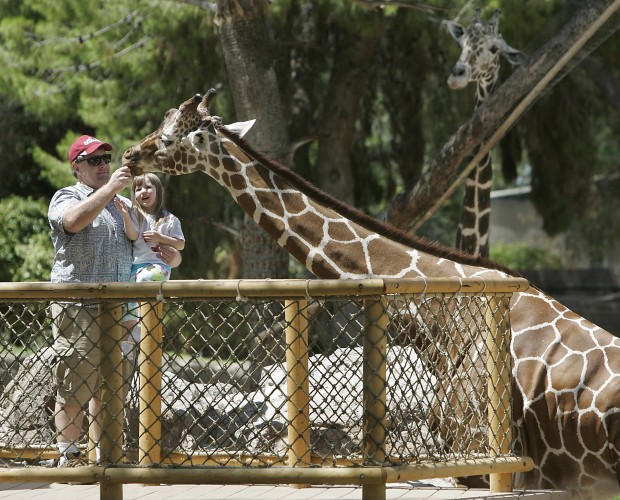 Reid Park giraffe stable; keepers remain cautious   