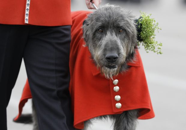Britain Royal St Patricks Day Parade