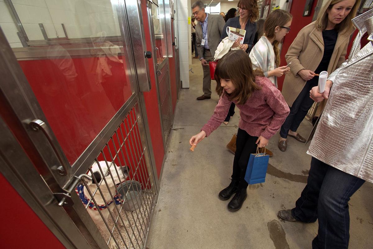 Photos See Pima Animal Care Center's new digs in Tucson Local news