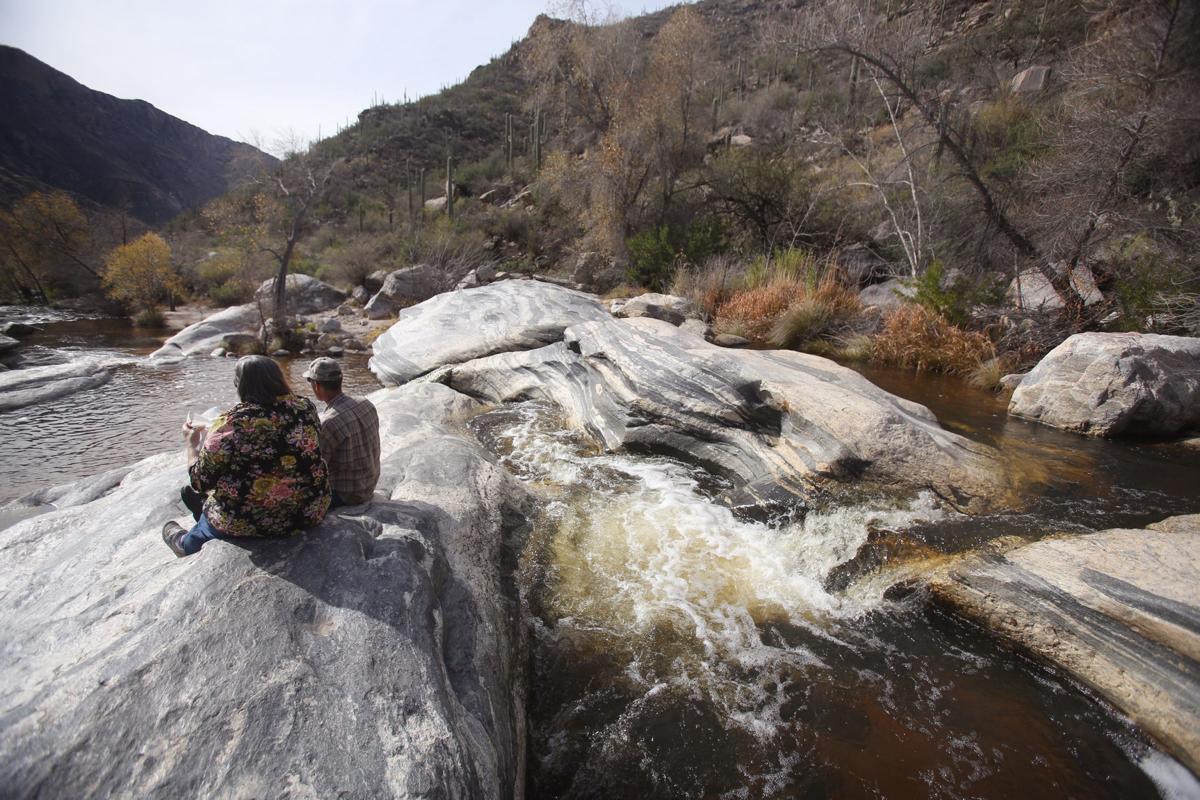 Sabino Canyon