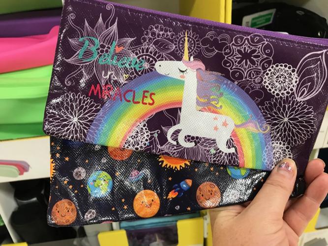 Office Max pencil pouches