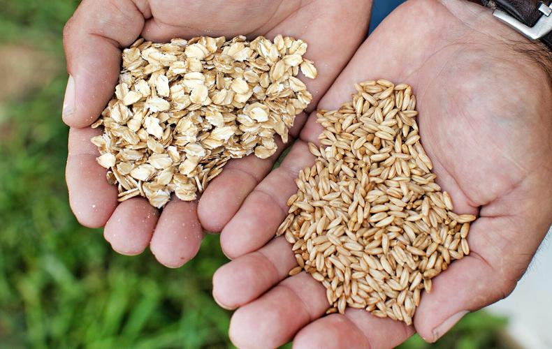 Rolled oats