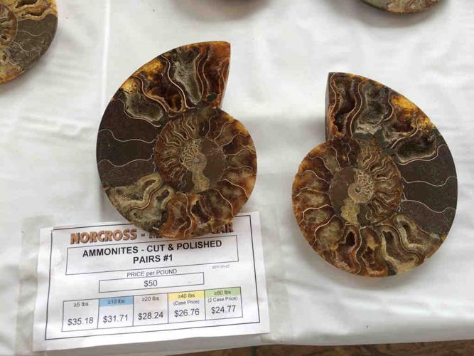 Animals of the Gem Show