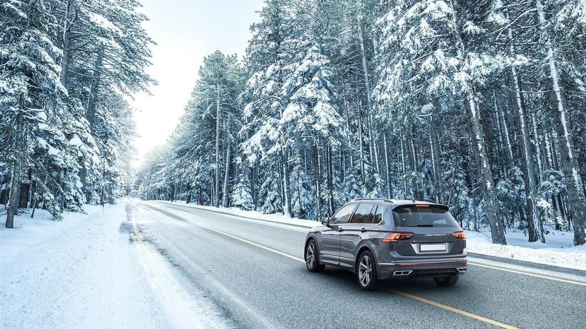 Driving Skills Worth Gold: How Americans View Competitive Driving