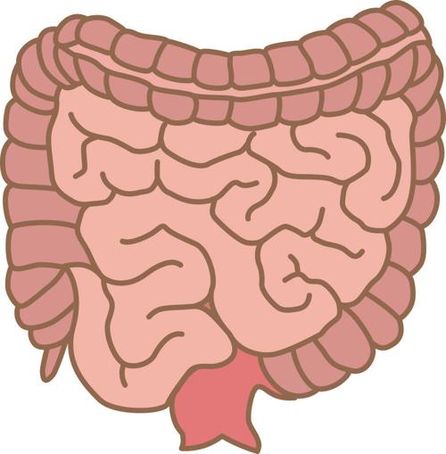 The basics of colorectal cancer