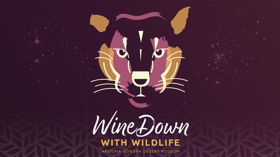 Desert Museum Winedown with Wildlife