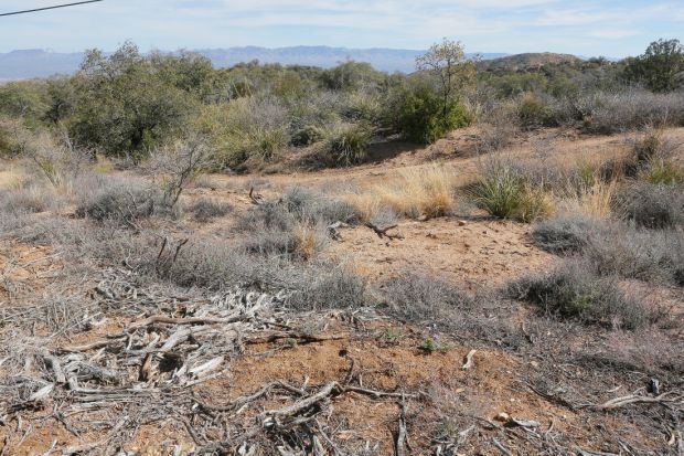 Fire danger in Oracle has officials pushing for better protection for homes