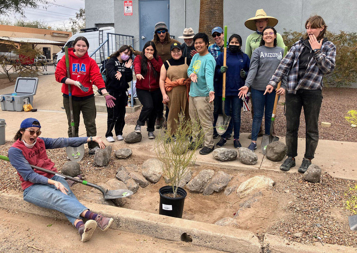 Ironwood Tree Experience