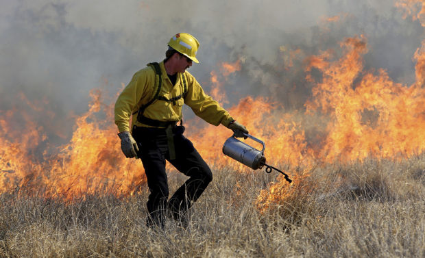 Buffelgrass goes up in flames in controlled burn in southeast Tucson    