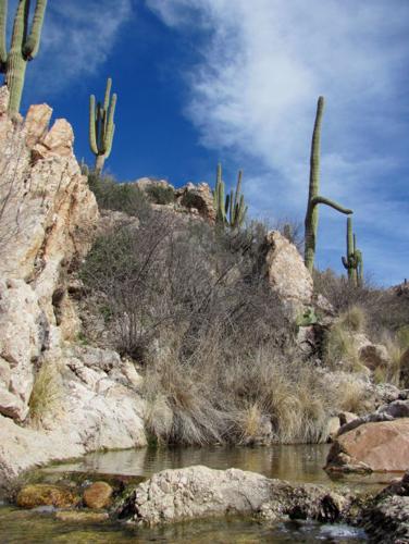 Catalina Park has it all    