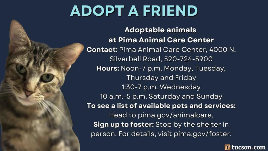 Adopt a friend: Local pets up for adoption for February 22