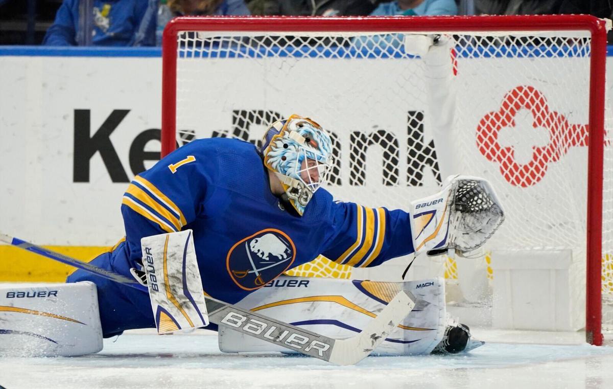 Sabres Panthers Hockey