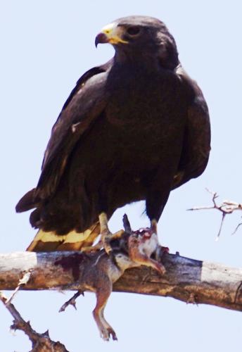 Birding_4.JPG