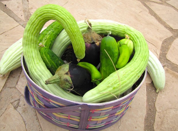 Armenian cucumbers