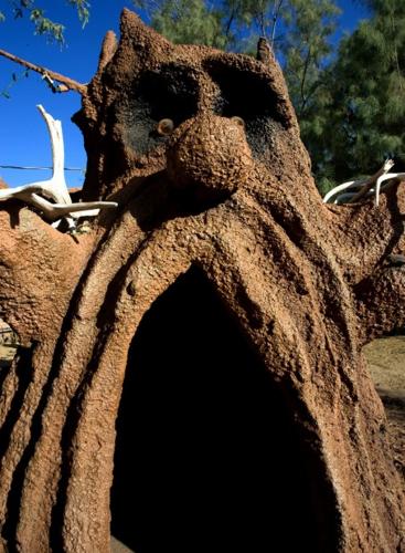 Tucson Oddity: Magic Carpet's quirky beings take up new lives across city    