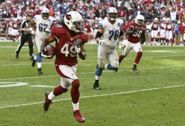 NFL: Cardinals 38, Lions 10: 9-game losing skein ends    