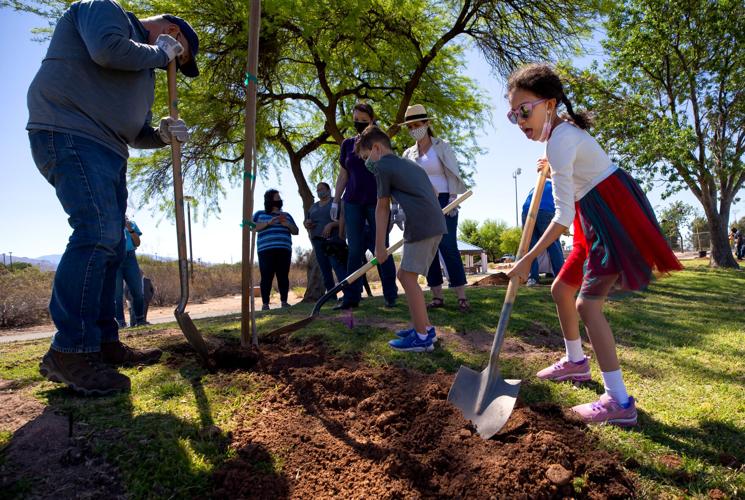 Lincoln Regional Park, trees