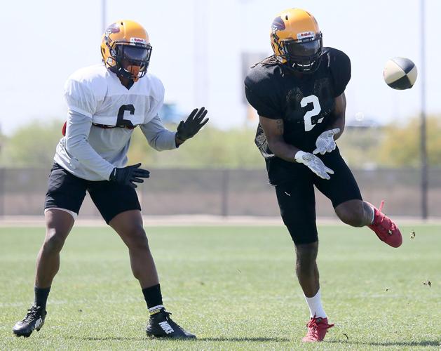 041119-spt-sugar skulls feat-p1.jpg