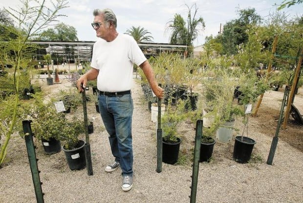 Longtime plant nursery is closing | Business News | tucson.com