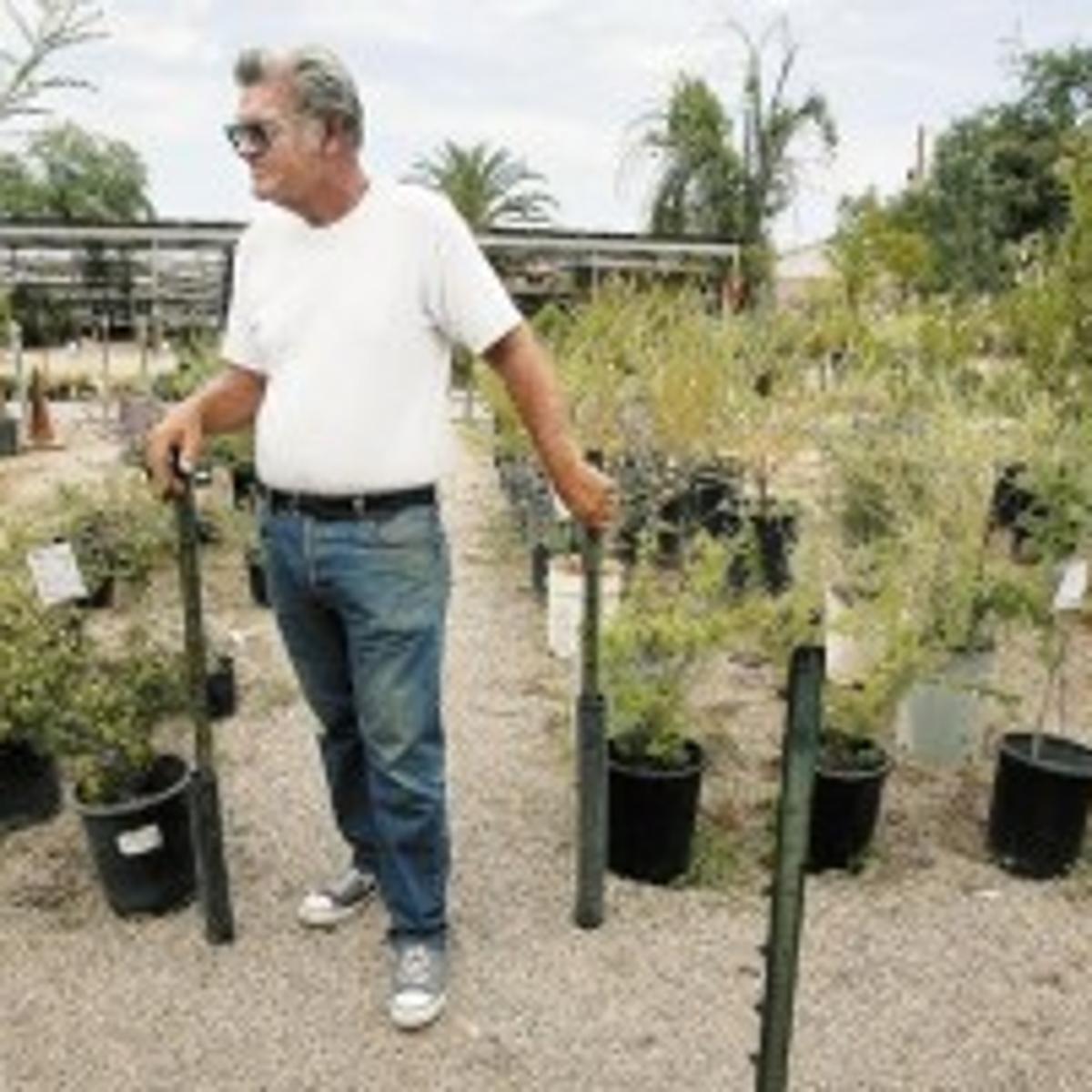 Longtime Plant Nursery Is Closing Business News Tucson Longtime Plant Nursery Is Closing