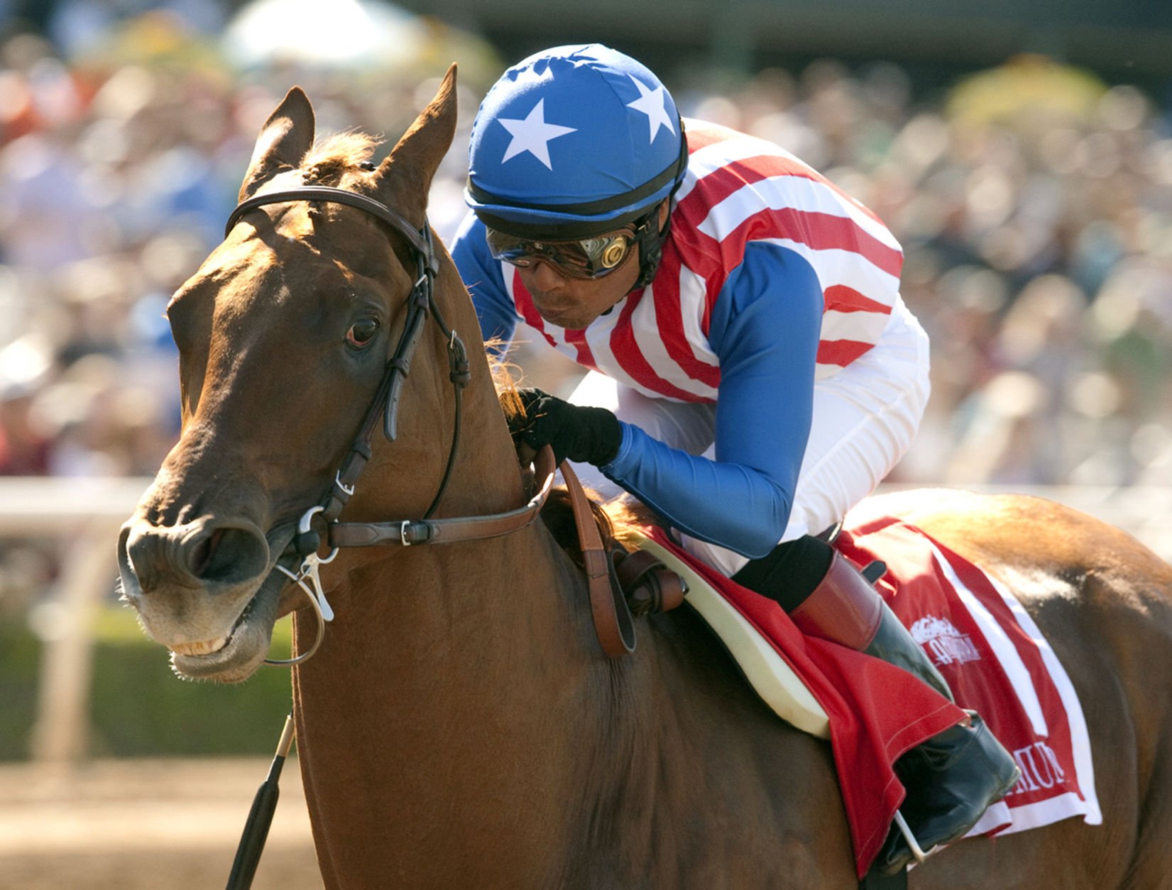 Photos: UA Grad Bob Baffert's Kentucky Derby Horses | Sports | Tucson.com