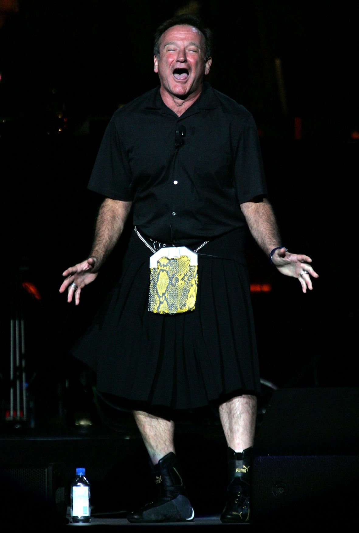 Robin Williams