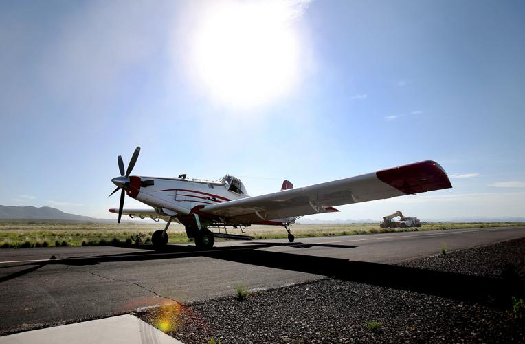 Frye Fire recovery on Mt. Graham