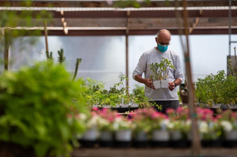 Green Things Nursery