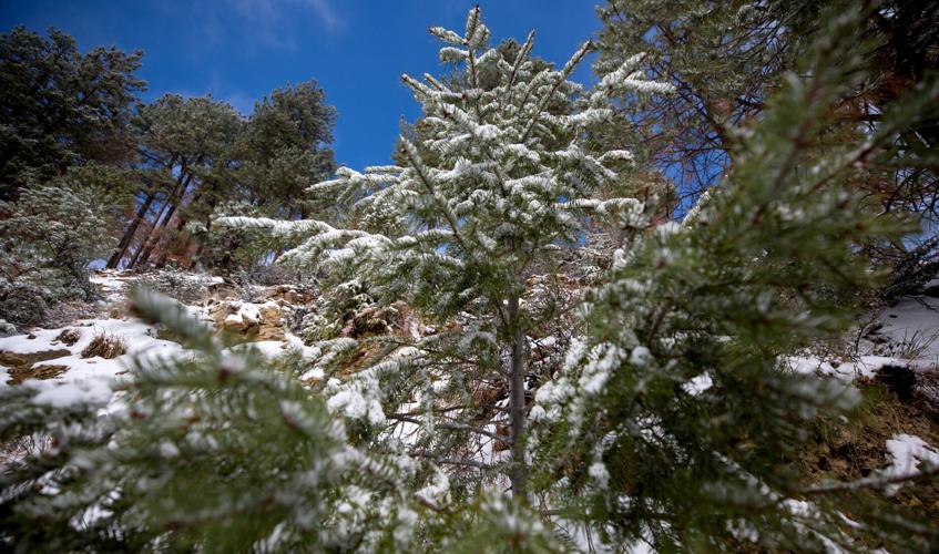 Snow in the Catalinas